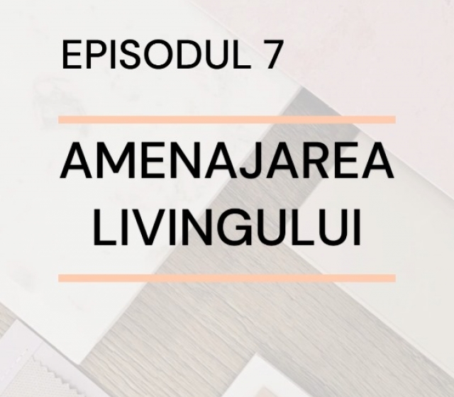 Episodul 7 - Amenajarea livingului